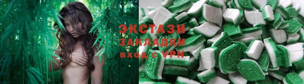 стаф Надым