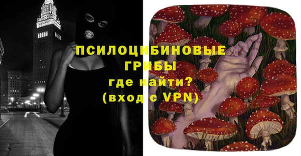 шишки Магадан
