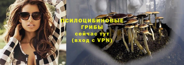 прущий лед Магас