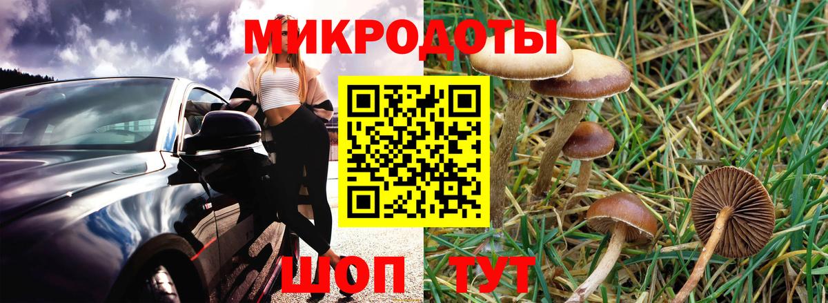 Галлюциногенные грибы мухоморы  Вход с VPN  магазин    Евпатория 