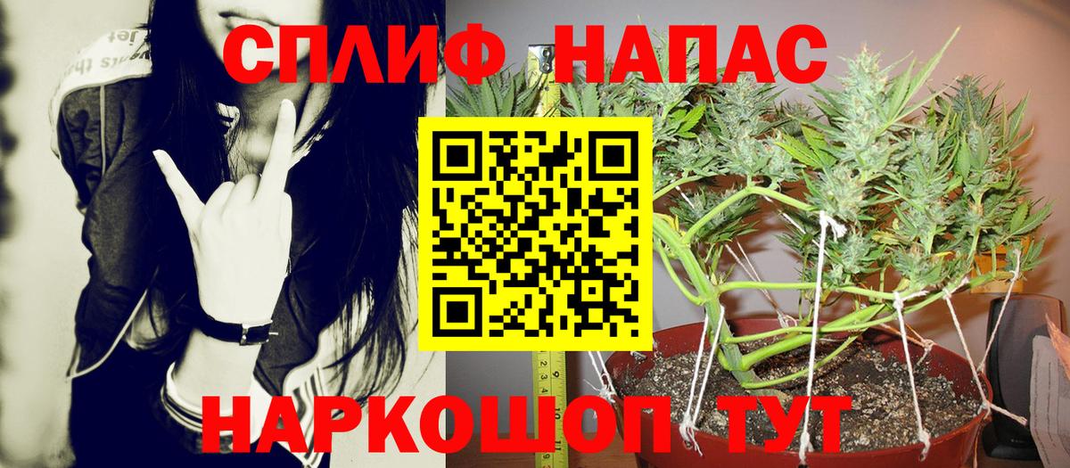 Евпатория  Шишки марихуана SATIVA & INDICA  Канабис сатива  Вход с VPN  Конопля конопля  Канабис SATIVA & INDICA 